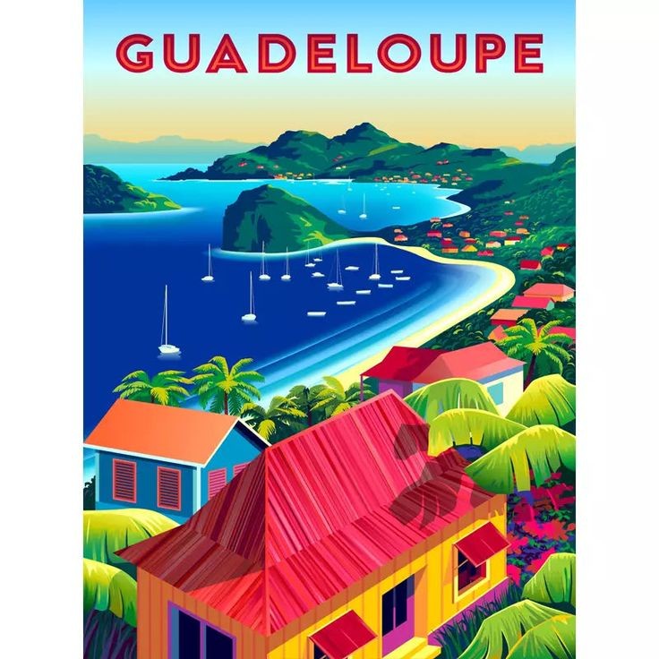 Le parcours de Véronique DI MARTINO