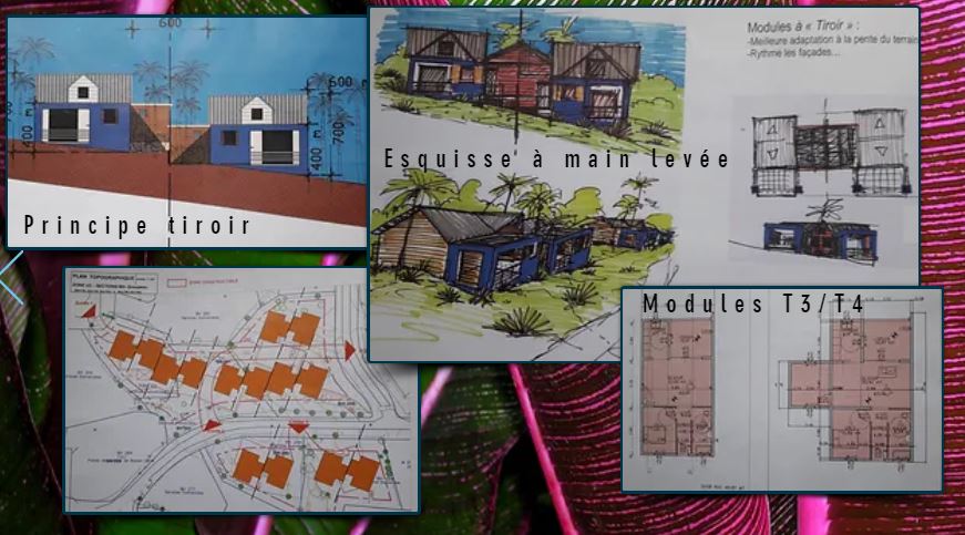 Le parcours de Véronique DI MARTINO